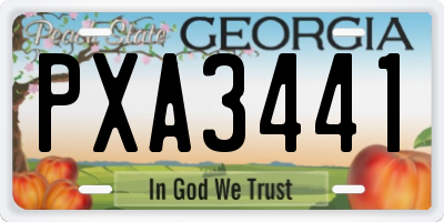 GA license plate PXA3441