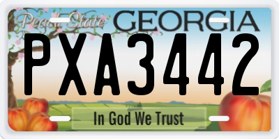 GA license plate PXA3442