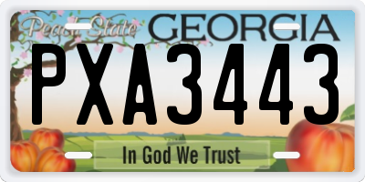 GA license plate PXA3443