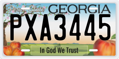 GA license plate PXA3445