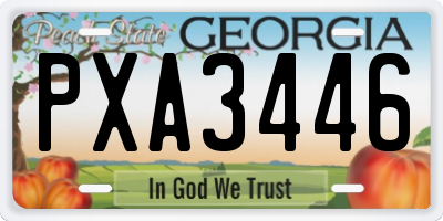 GA license plate PXA3446