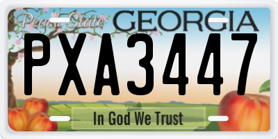 GA license plate PXA3447