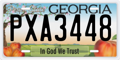 GA license plate PXA3448
