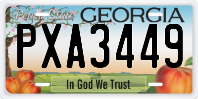 GA license plate PXA3449
