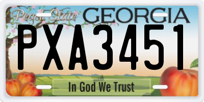 GA license plate PXA3451
