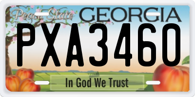 GA license plate PXA3460