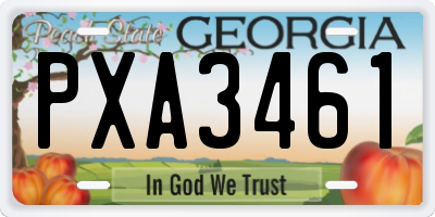 GA license plate PXA3461