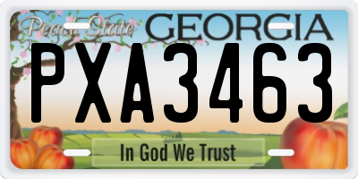 GA license plate PXA3463