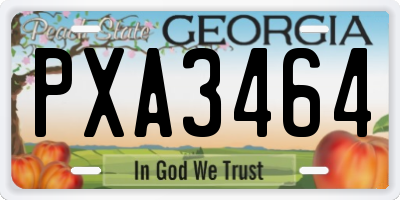 GA license plate PXA3464