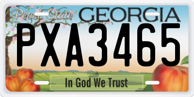 GA license plate PXA3465