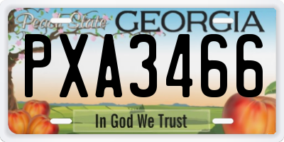 GA license plate PXA3466