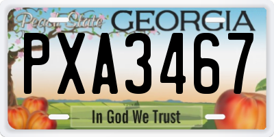 GA license plate PXA3467