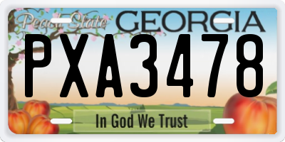 GA license plate PXA3478