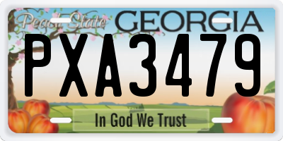 GA license plate PXA3479