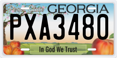 GA license plate PXA3480