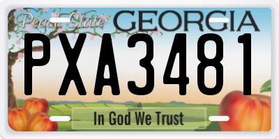 GA license plate PXA3481