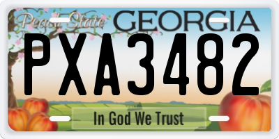 GA license plate PXA3482