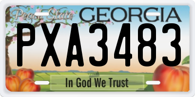 GA license plate PXA3483