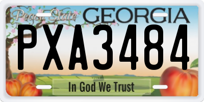 GA license plate PXA3484