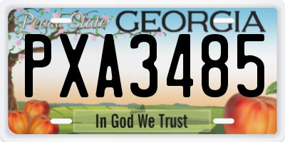 GA license plate PXA3485