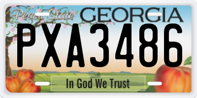 GA license plate PXA3486