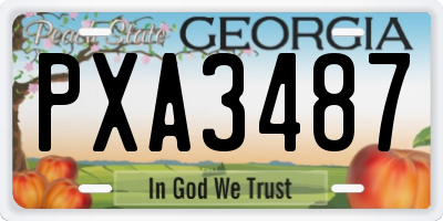 GA license plate PXA3487