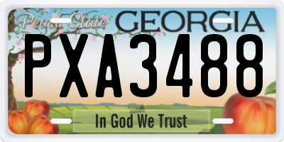 GA license plate PXA3488