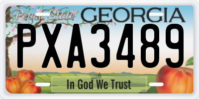 GA license plate PXA3489