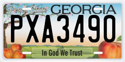 GA license plate PXA3490