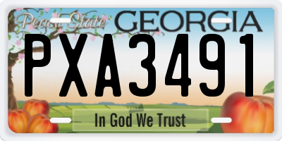 GA license plate PXA3491