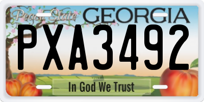 GA license plate PXA3492