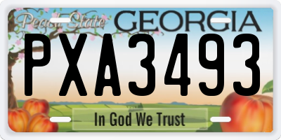 GA license plate PXA3493