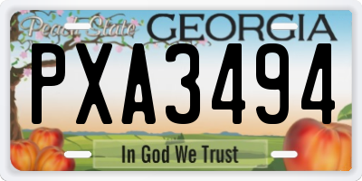 GA license plate PXA3494