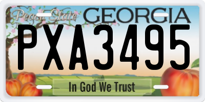 GA license plate PXA3495