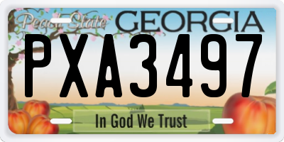 GA license plate PXA3497