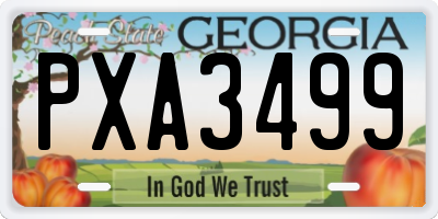 GA license plate PXA3499