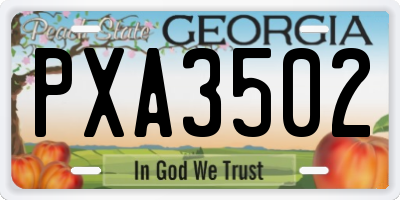 GA license plate PXA3502