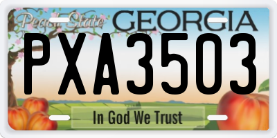 GA license plate PXA3503