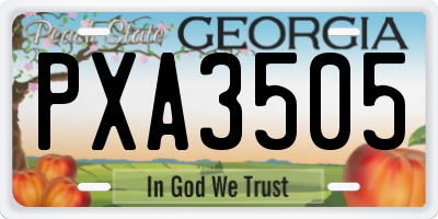 GA license plate PXA3505