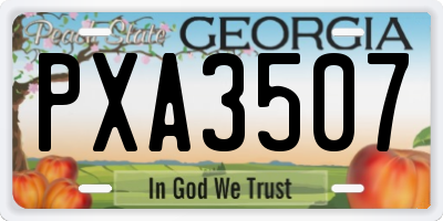 GA license plate PXA3507