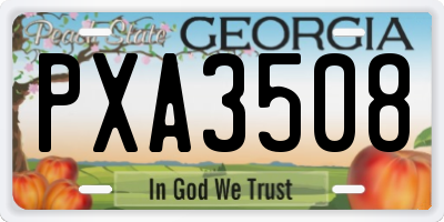 GA license plate PXA3508