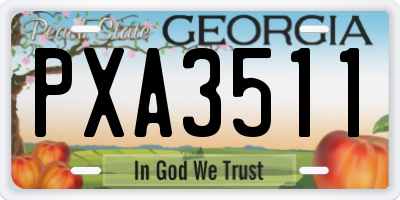 GA license plate PXA3511