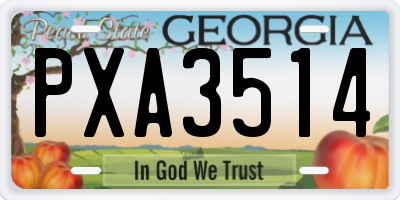 GA license plate PXA3514