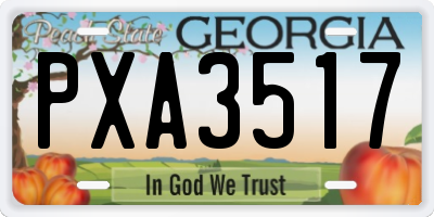 GA license plate PXA3517