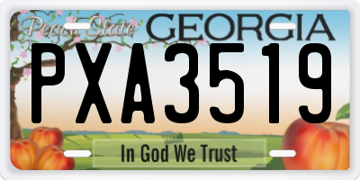 GA license plate PXA3519