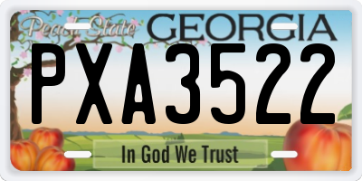 GA license plate PXA3522