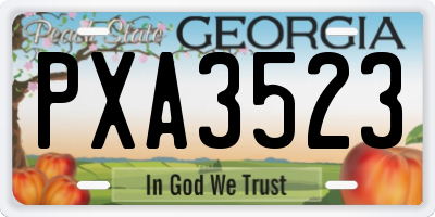 GA license plate PXA3523