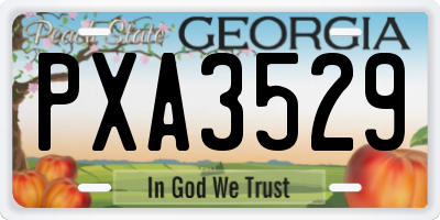 GA license plate PXA3529