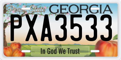 GA license plate PXA3533