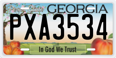 GA license plate PXA3534